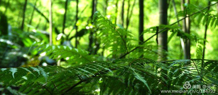 难忘贵州歌曲筒谱,难忘贵州歌曲