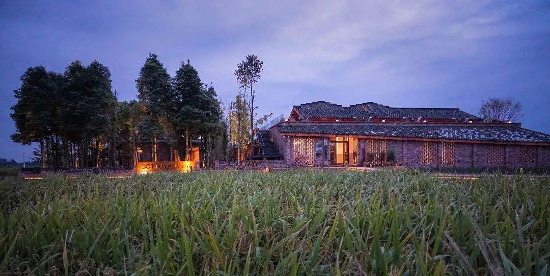 成都周边春季徒步旅游攻略,成都森林徒步旅游攻略