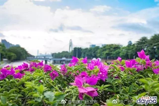 广州地铁旅游打卡攻略,广州适合春游的免费景点