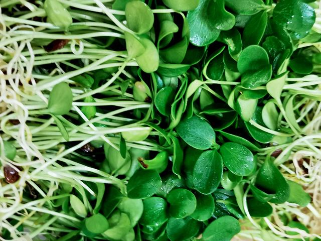 素菜馆探店,镇江素菜馆