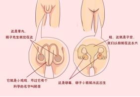 十岁男孩书店里猥亵五岁女童：缺失的性教育