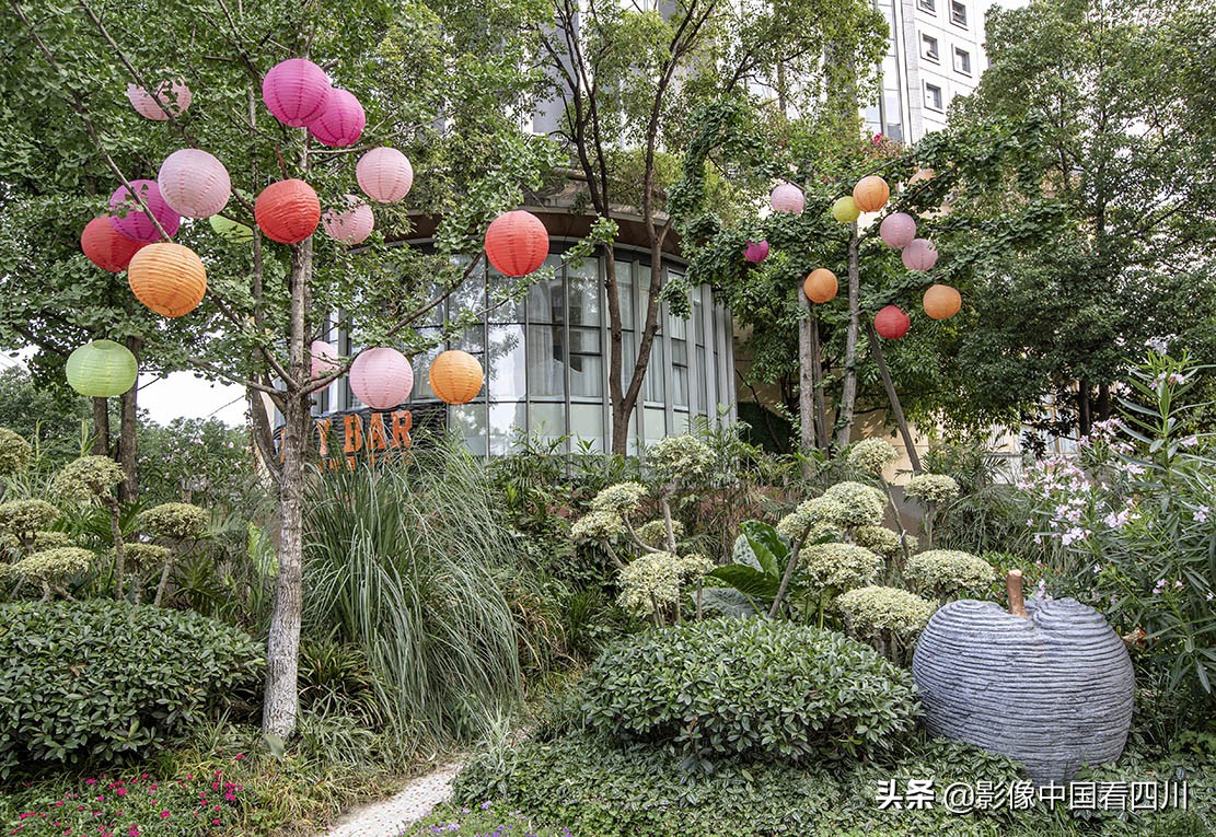 成都最美榕树街,成都鹭岛步行街商铺出售