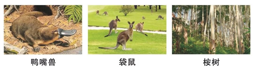 区域地理大洋洲和澳大利亚笔记,七年级地理教学视频下大洋洲