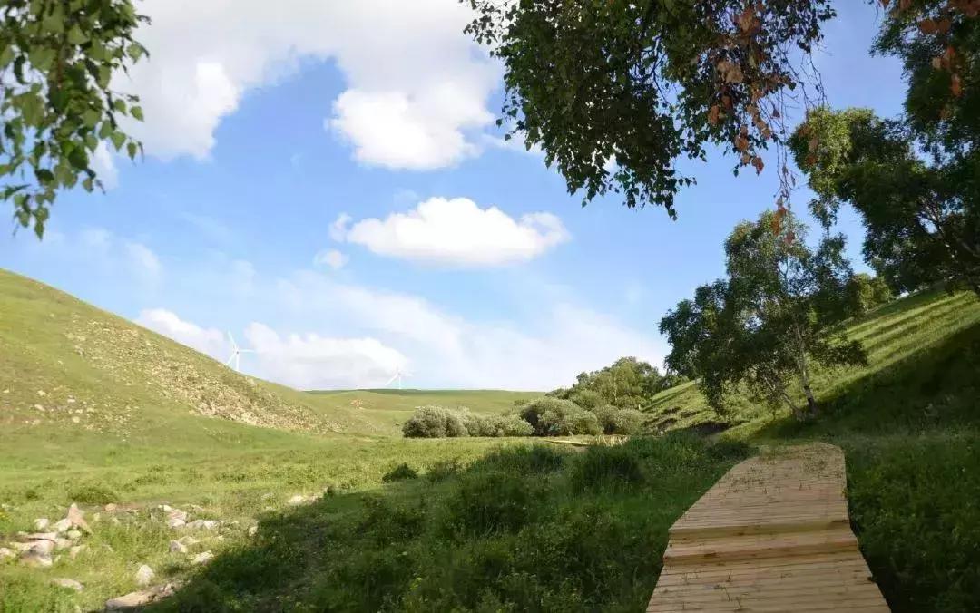 天津草原游线路及报价,天津周边草原哪家好