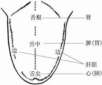 宝宝舌苔缺几块,舌头边舌苔缺了是什么症状