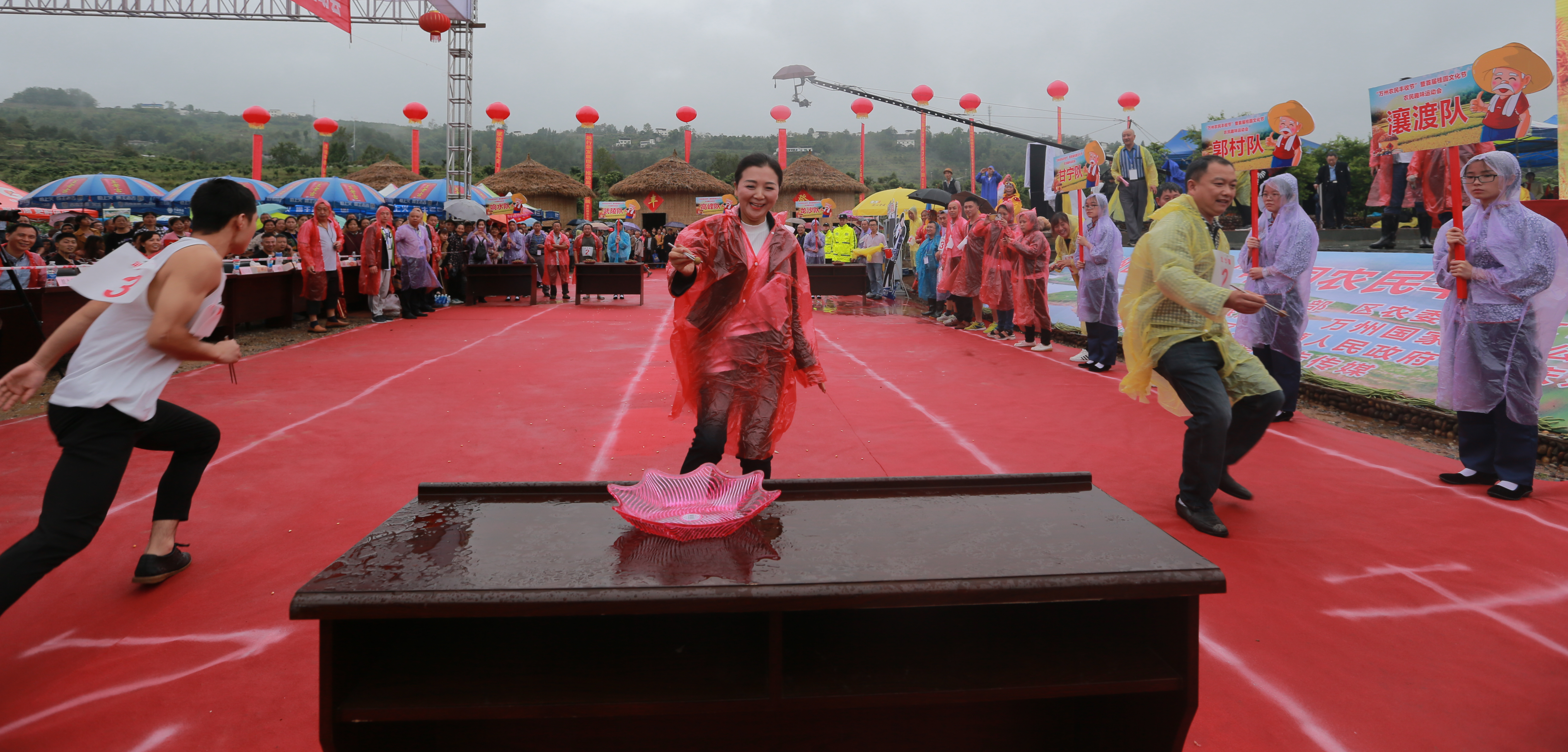 重庆理工大学助力,重庆市大学乡村振兴