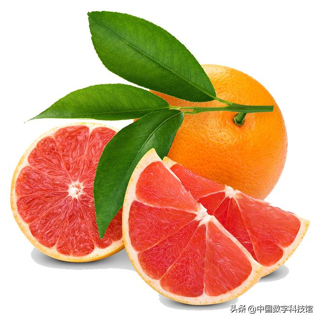 褚橙是什么品种的橙子,褚橙和褚橙橙汁是一个东西吗