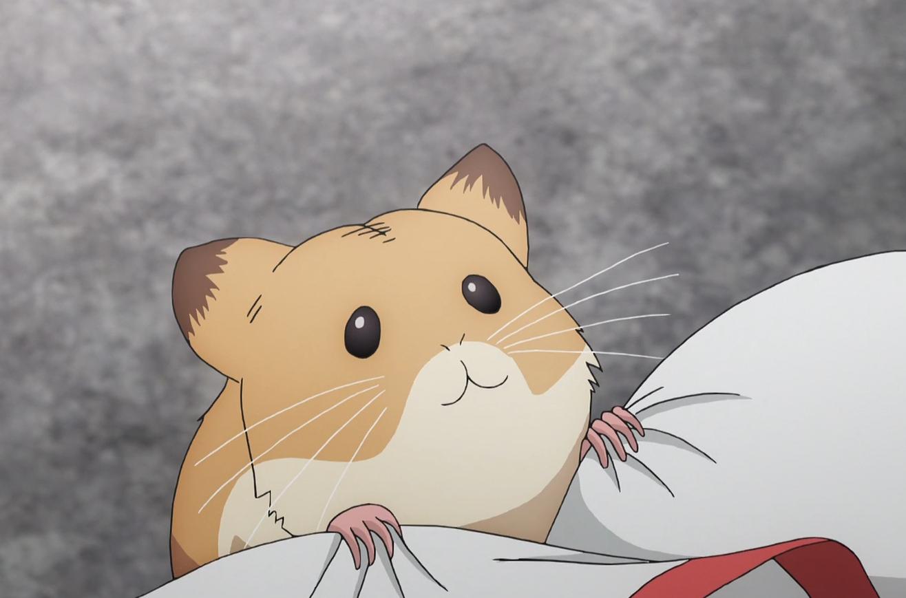 某科学的超电磁炮t设定集,某科学超电磁炮t之后会更新吗