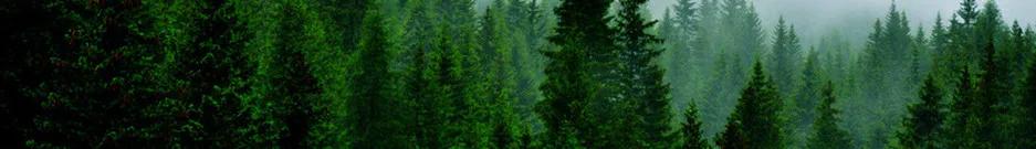 俩个月极速九炸，详细复盘PTE大神超凡进阶之路