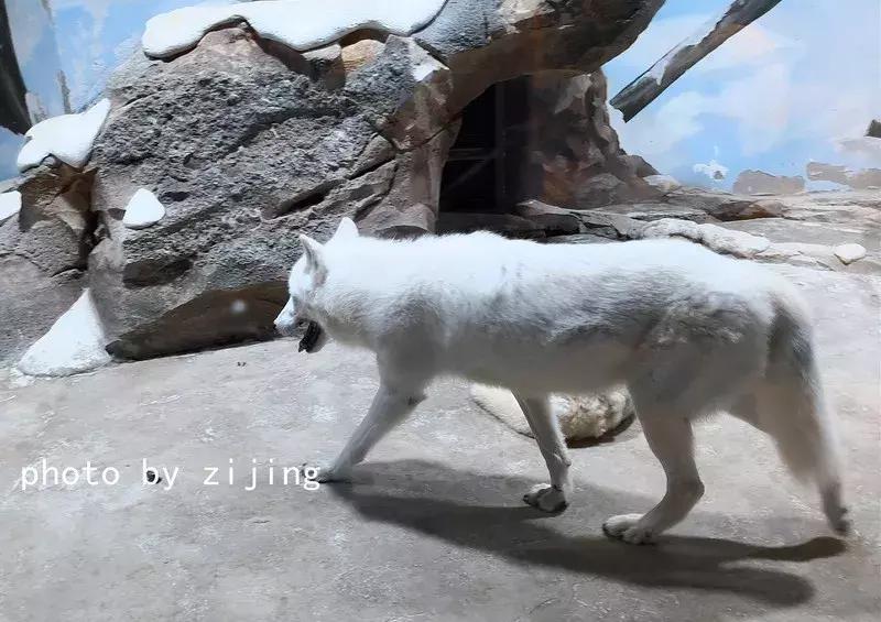 淮安清江浦运河游记,运河古都淮安一日游