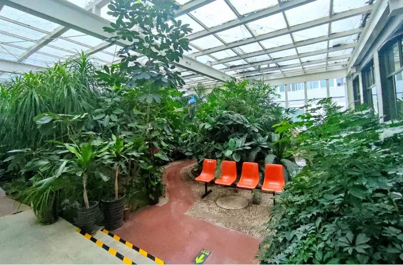 邯郸河北工程大学附属医院,河北工程大学邯郸附属医院