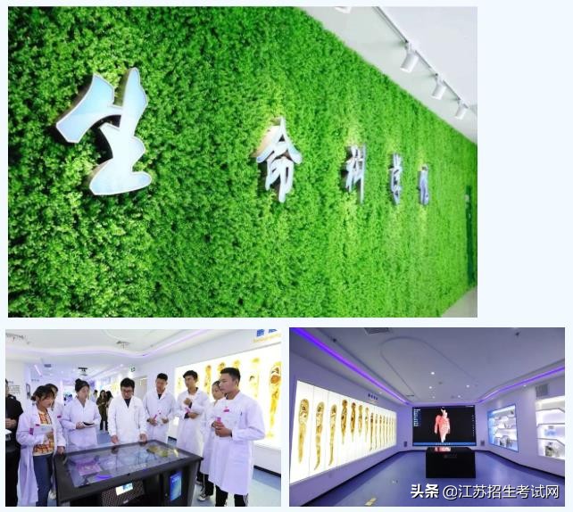 泰职口腔医学,泰职院口腔医学技术