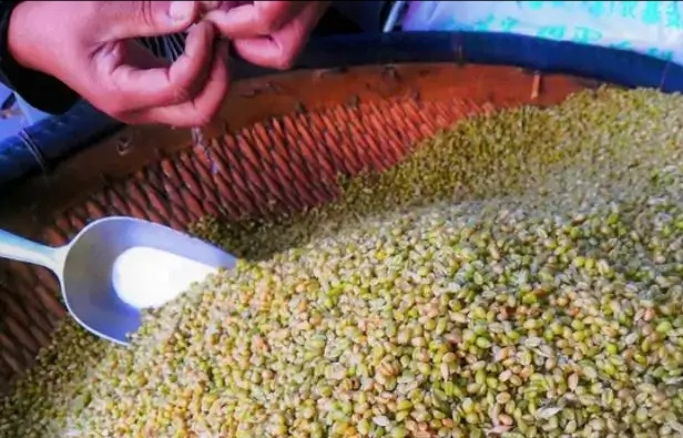 农村新商机100个,农村小麦收益怎么样