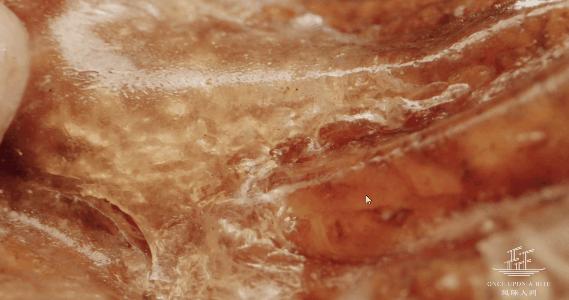 楦℃儏鍥涘皠闊╁紡鐐搁浮浼樻儬鍥㈣喘,楦℃儏鍥涘皠