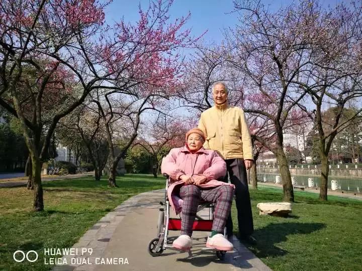 3月底天府绿道哪段最美,天府绿道介绍及特色