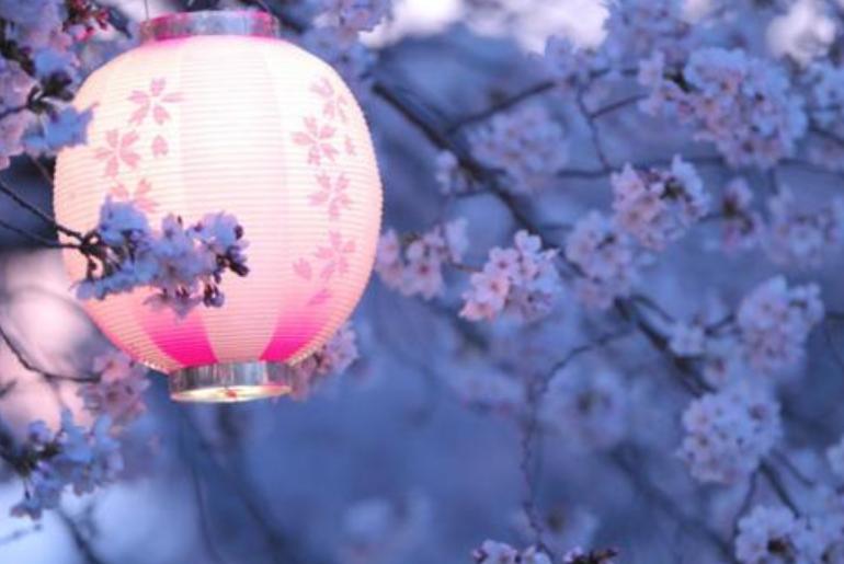 日语代词知识大全,日语指示代词怎么称呼