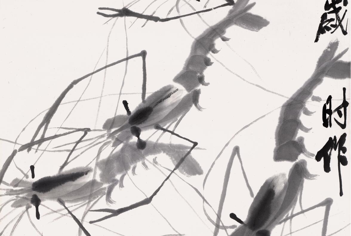 白石老人画虾视频大全,白石老人画虾的感悟