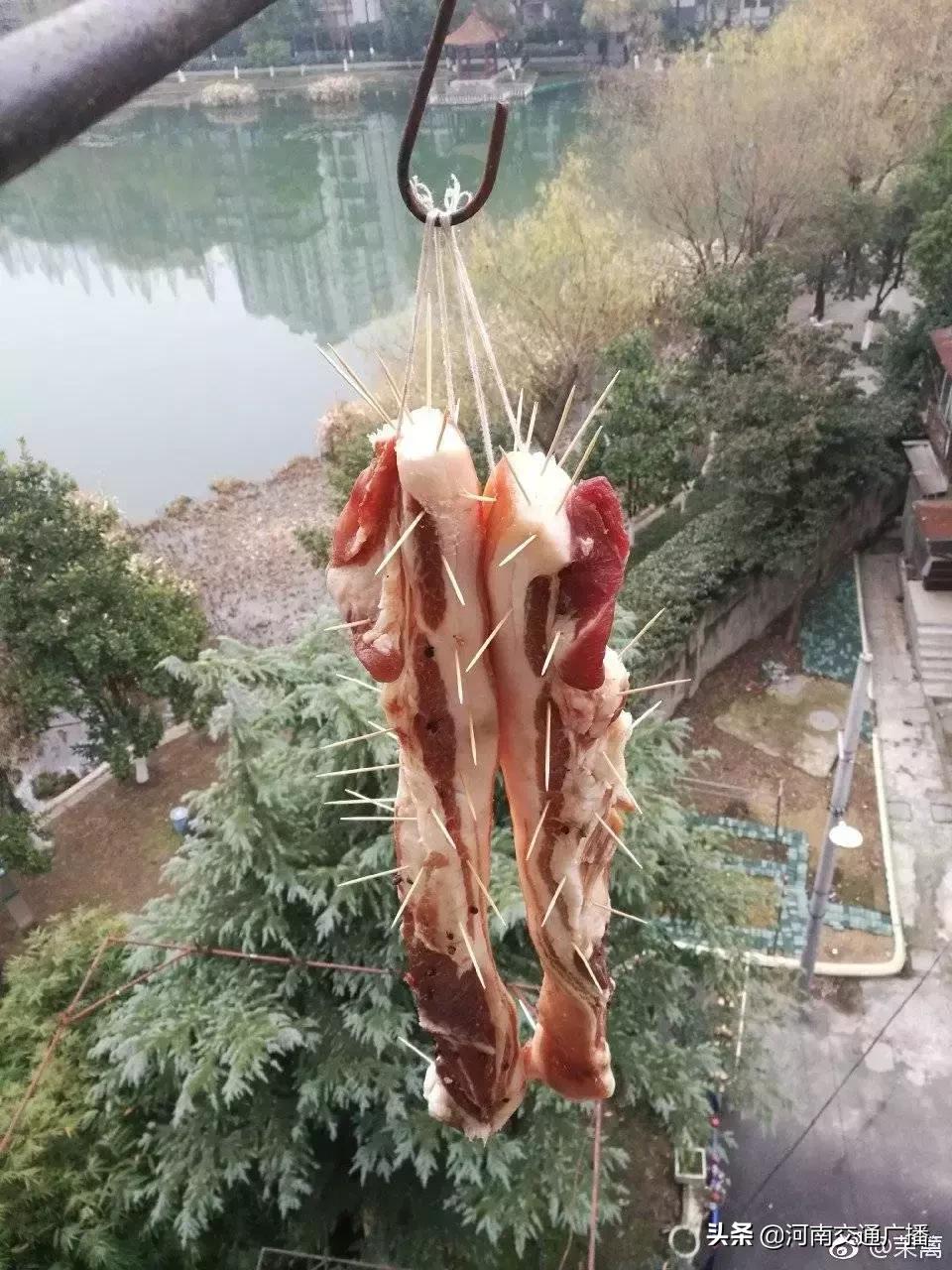 鸟儿偷吃香肠腊肉,香肠腊肉挂外面被鸟吃