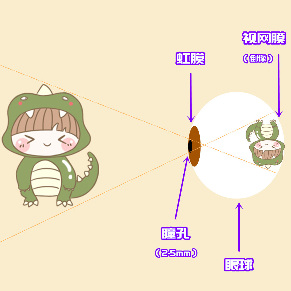 视觉错觉图怎么制作3d,教你怎么能看到3d立体图