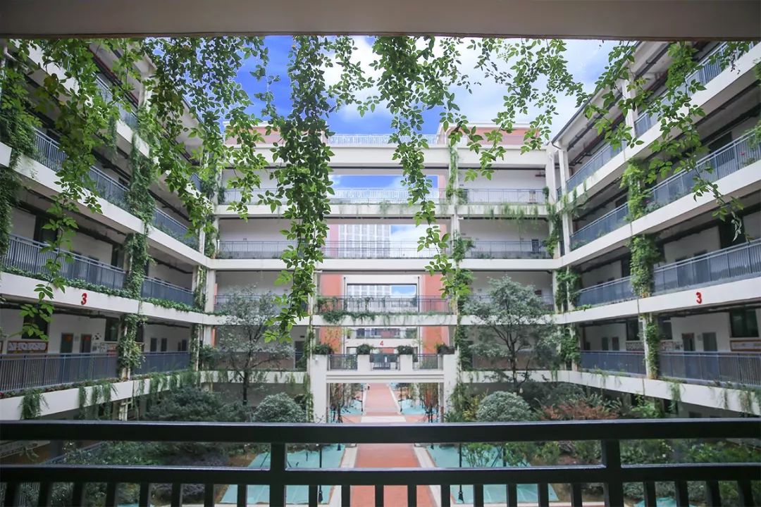 武汉最难学校是哪个,武汉最难进的10所大学