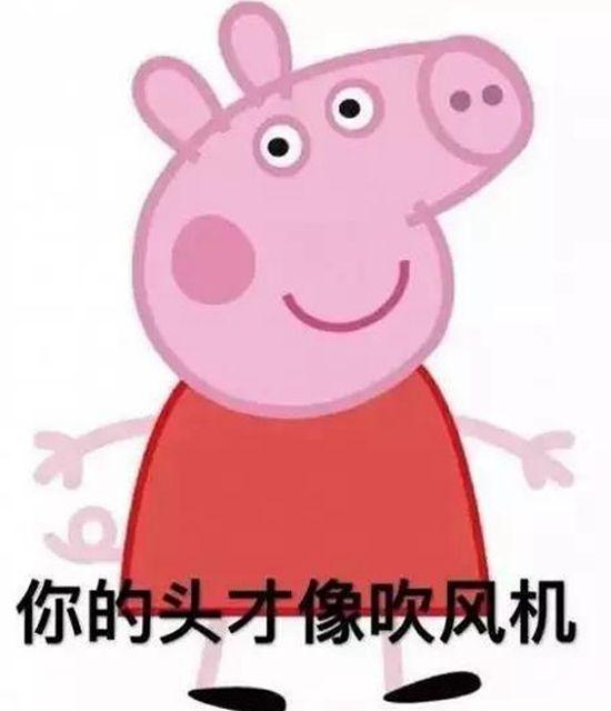 2018六大网络流行语，居然每个都与神州联保有关