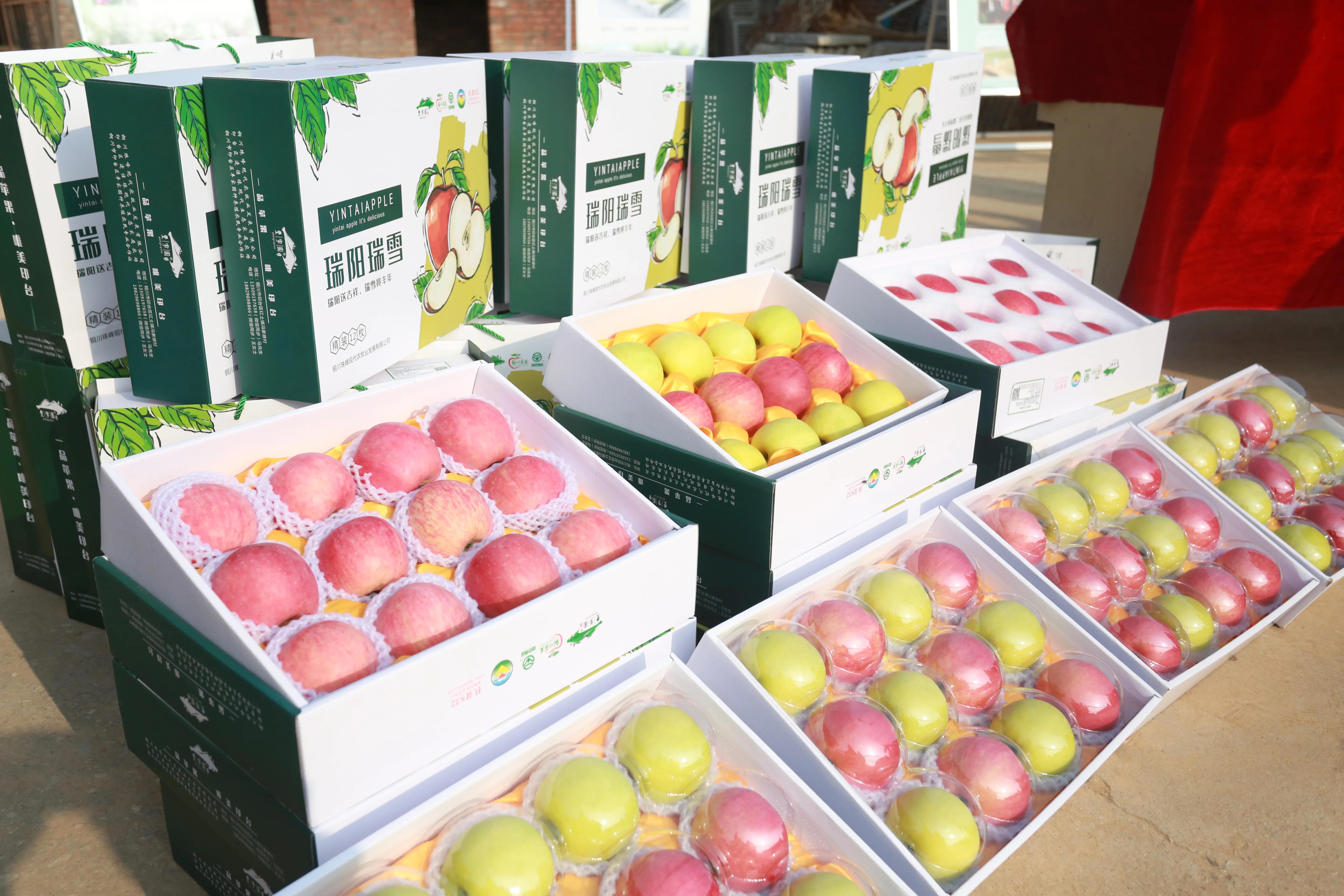 陕西铜川果品,铜川印台镇果业