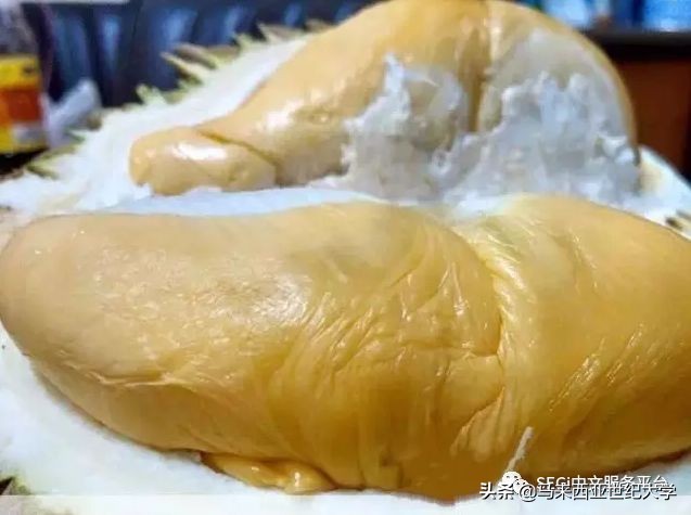 马来西亚榴莲品种大全,马来西亚d14榴莲是什么品种