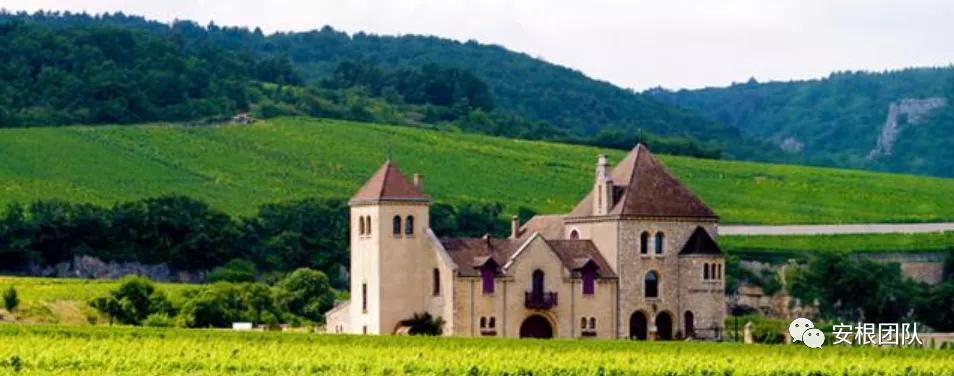 茶人学习:欧洲国家农民合作社融资实践