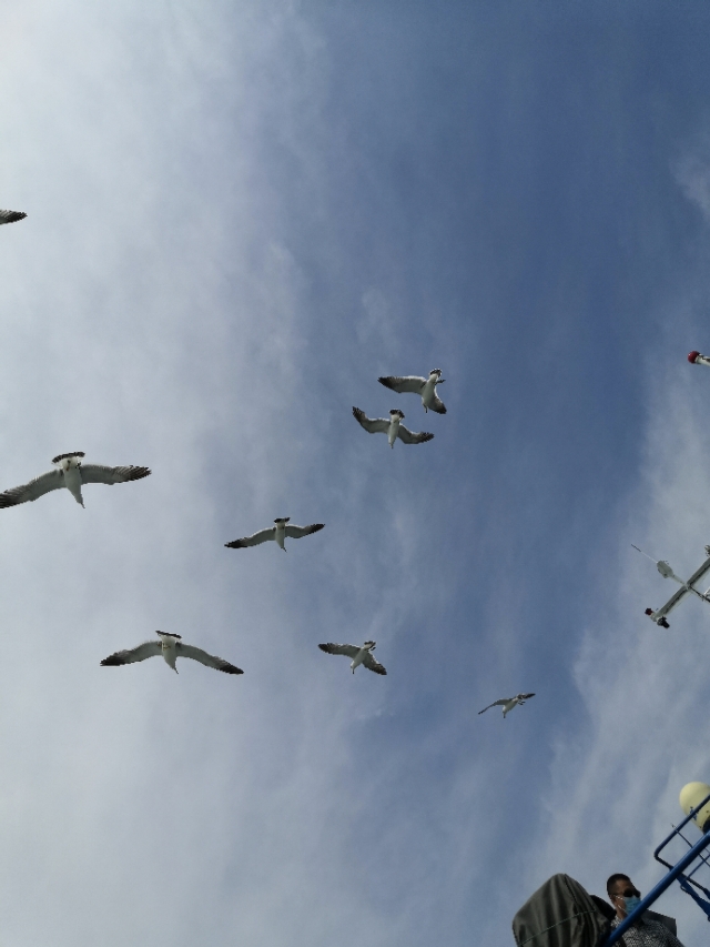 有关韩嘉川的视频,韩嘉川代表作品