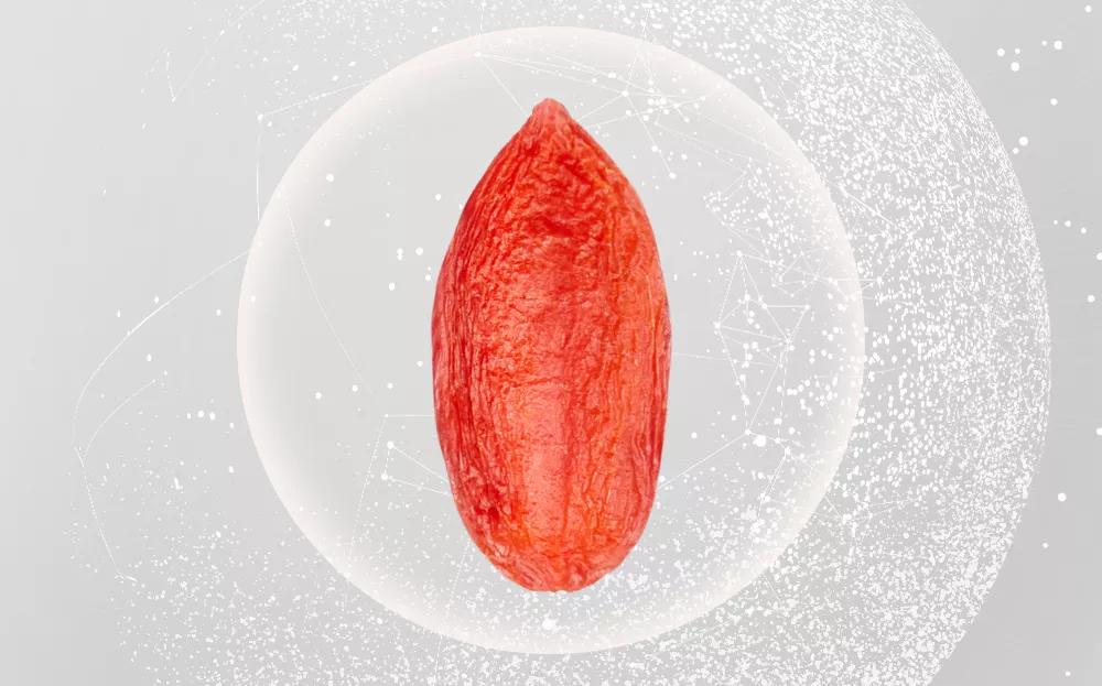 糖尿病高血压能吃枸杞吗,糖尿病人吃枸杞血糖会升高吗