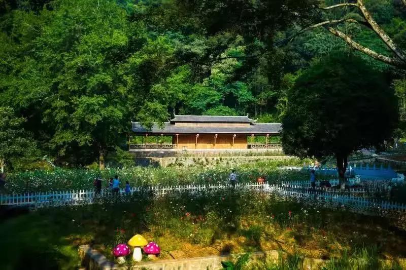 精心打造高端民宿,禅文化酒店设计风格