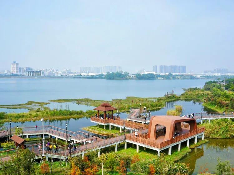 深圳市十大免费公园,深圳十大湖泊