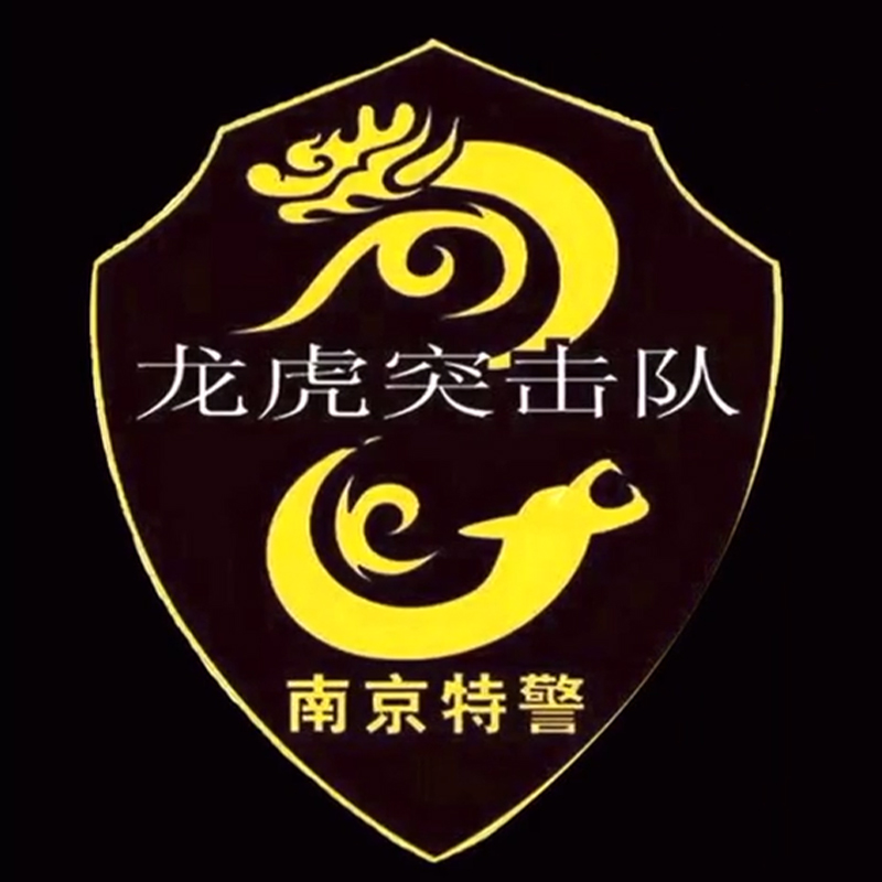 全国各个城市特警队臂章,公安特警帅图