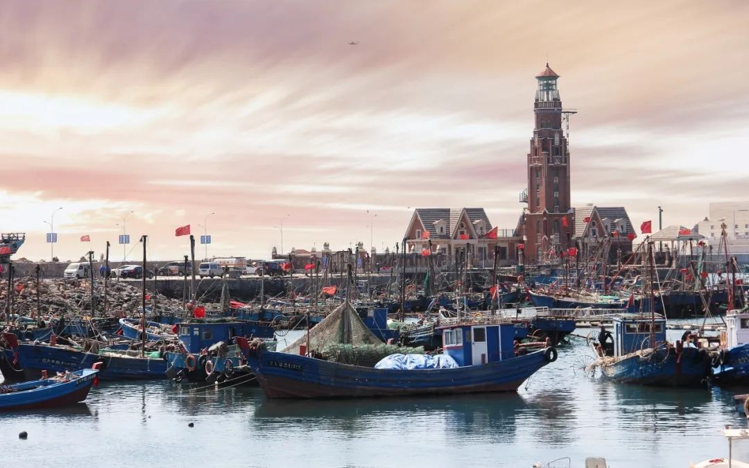 忽然想去旅游了,忽然想去宁波了