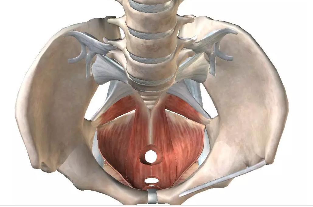 产后大笑漏尿用什么药,产后咳嗽漏尿最好的办法是怎么治