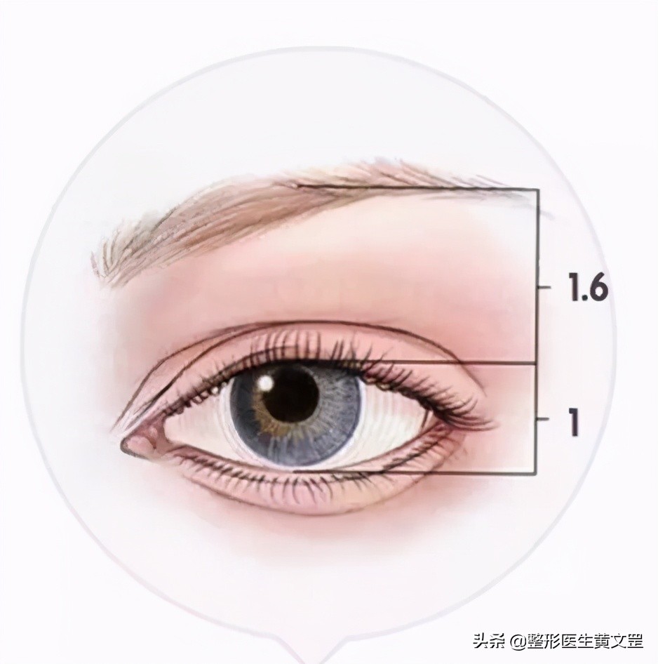 王世勇什么样的眼睛是美的,什么样子的眼睛才好看