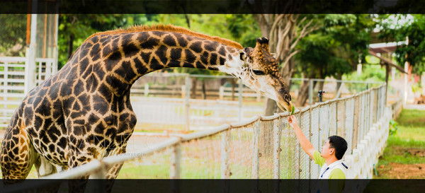 最新玩转泰国攻略,泰国旅游漫游