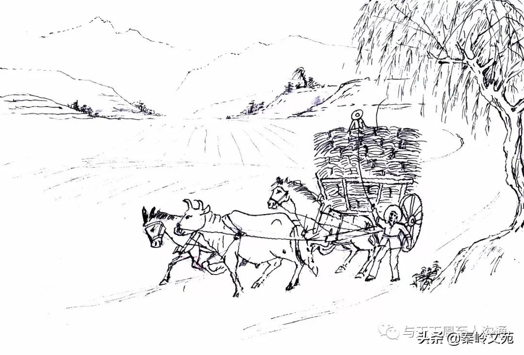 赵科第:乡村记事——收麦那些事儿