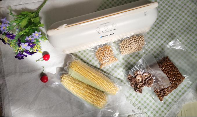 德国蓝宝原汁机清洗,德国蓝宝蒸汽清洁机厨房