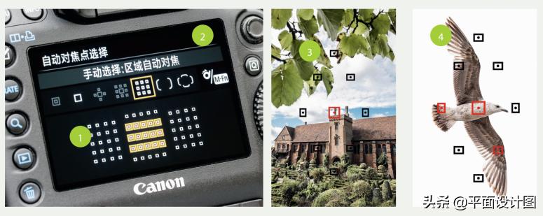 如何正确使用对焦技巧,怎么对焦