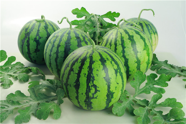 种植西瓜果腐病怎么治,西瓜出现根腐病怎么治疗
