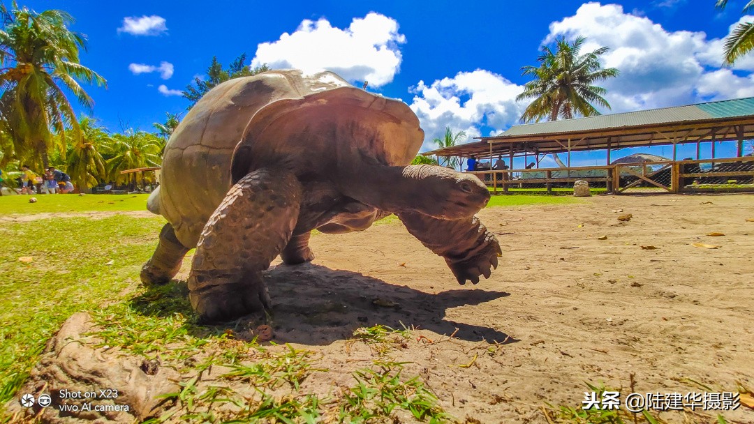 塞舌尔克里奥尔人,人间伊甸园云赏奢华度假地塞舌尔