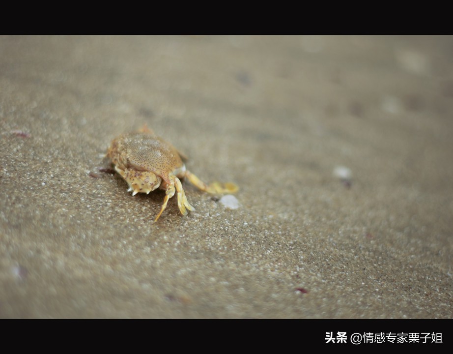 情感咨询｜栗子姐每日情感问答（0306）