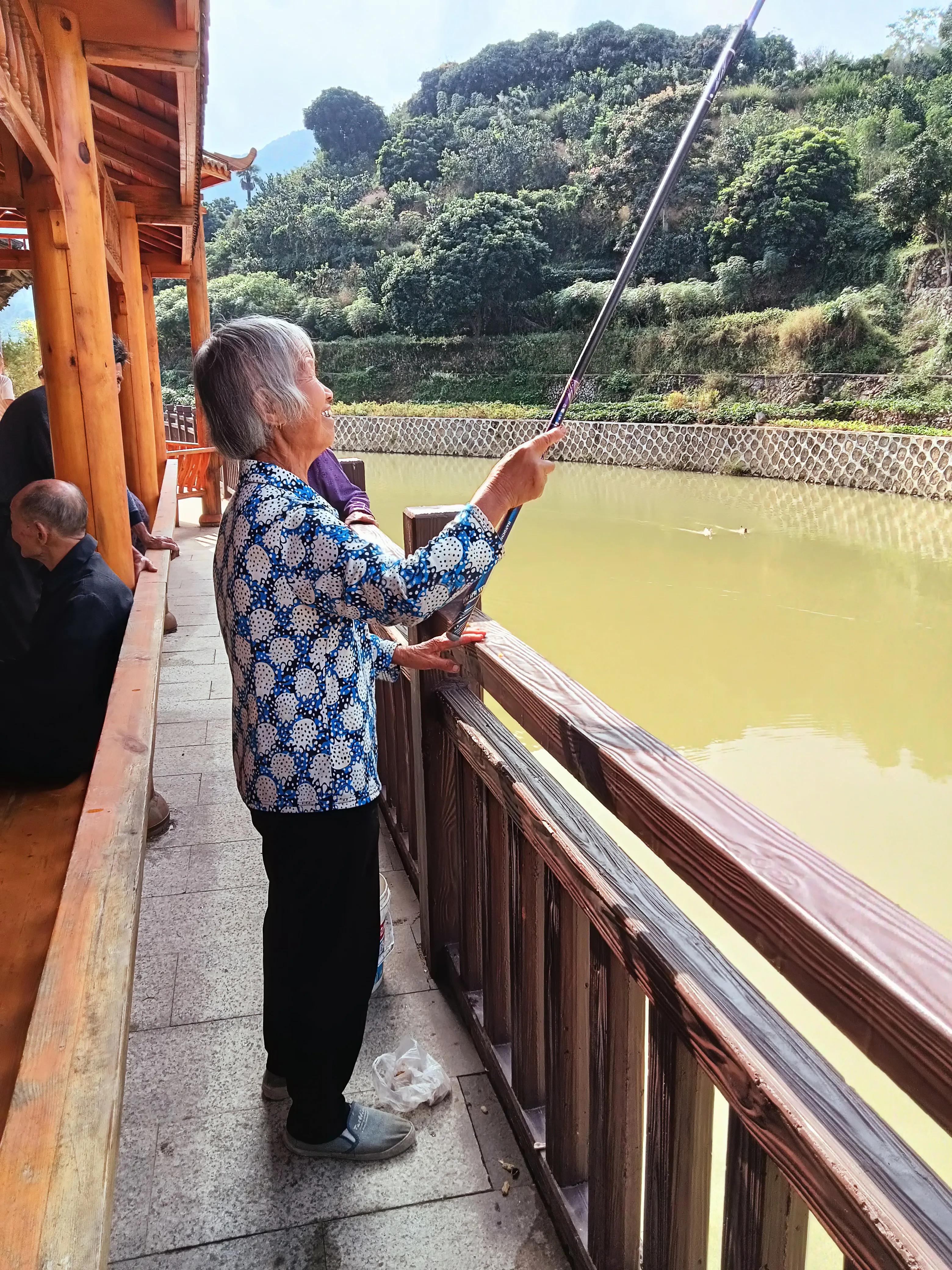 饶平三饶四方塘老榕树在哪里,榕树爷爷是合唱还是独唱