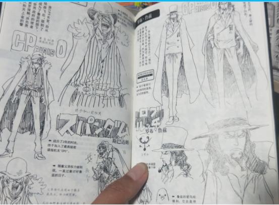 海贼王书籍选择 (海贼王书籍排名)