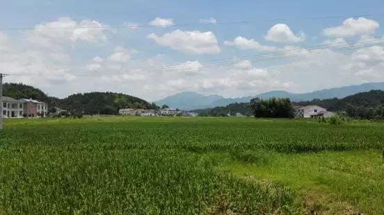 农村土地确权证到期了怎么办,农村土地证年限到期怎么办