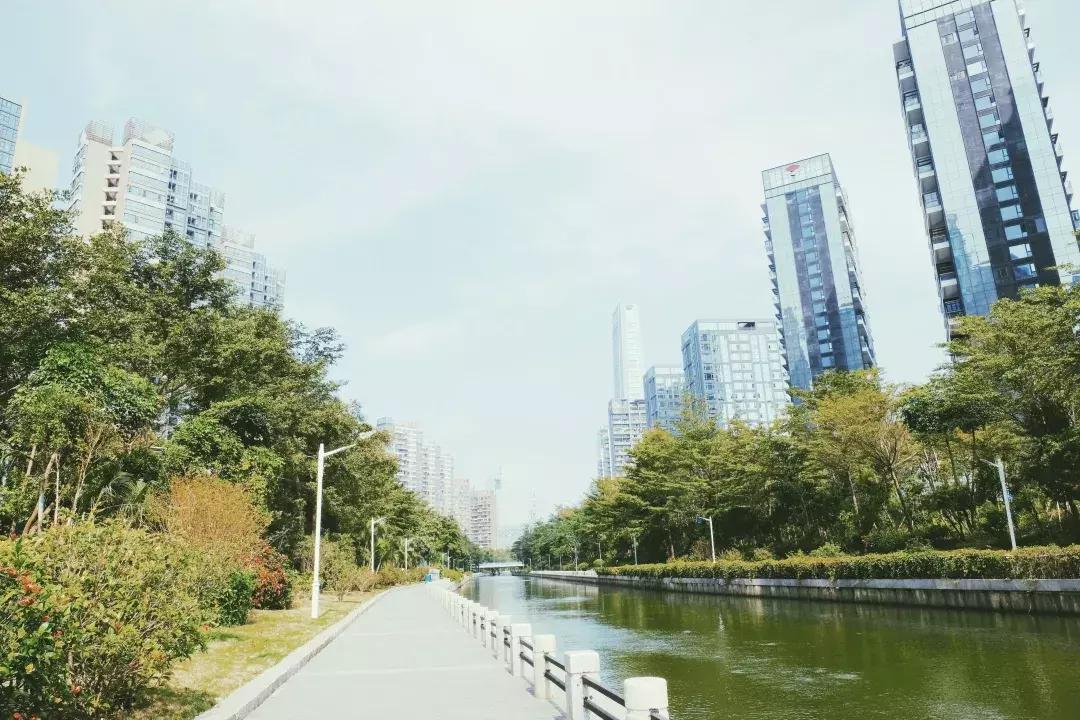 深圳湾公园这里有什么好吃的,深圳湾在哪里