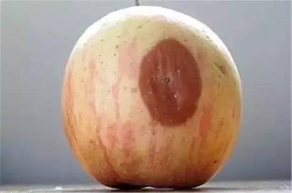 食物发霉后，没长霉的地方还能吃吗？医生直言：这几种食物放心吃