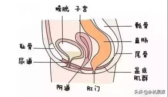 注意！近50%的余杭女性都被这个毛病折磨！这次带来一个好消息！