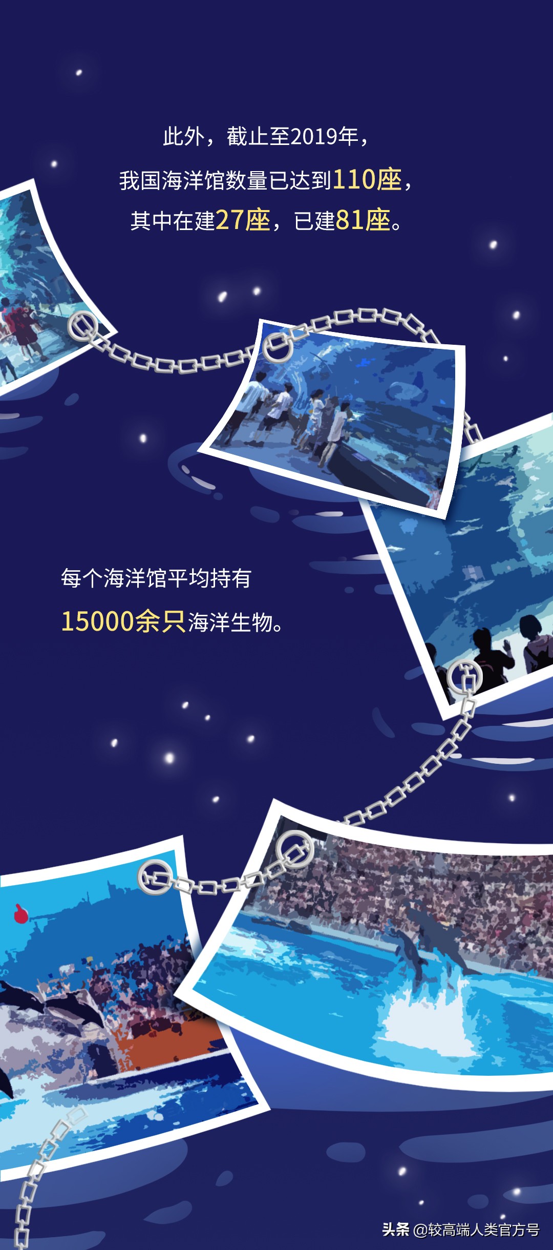 囚禁海豚,海豚表演有多残忍